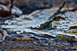 Water & Ice (New!)